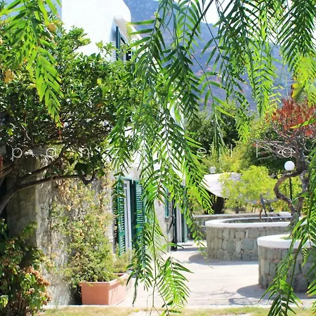 Panzitella Apartment Ischia