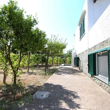 Panzitella Apartment Ischia